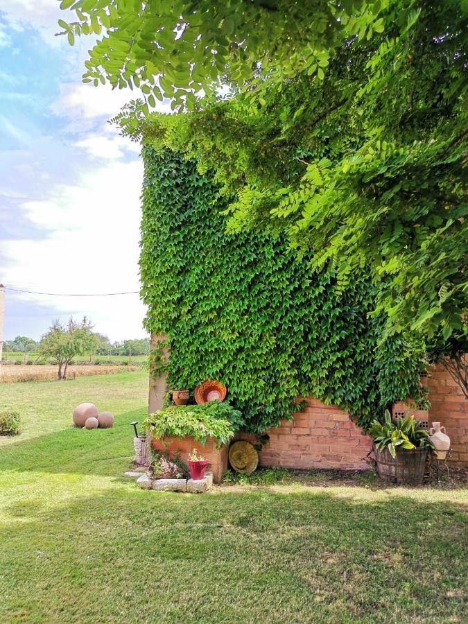 Mas Horta Prim Guest House Sant Pere Pescador Exterior photo